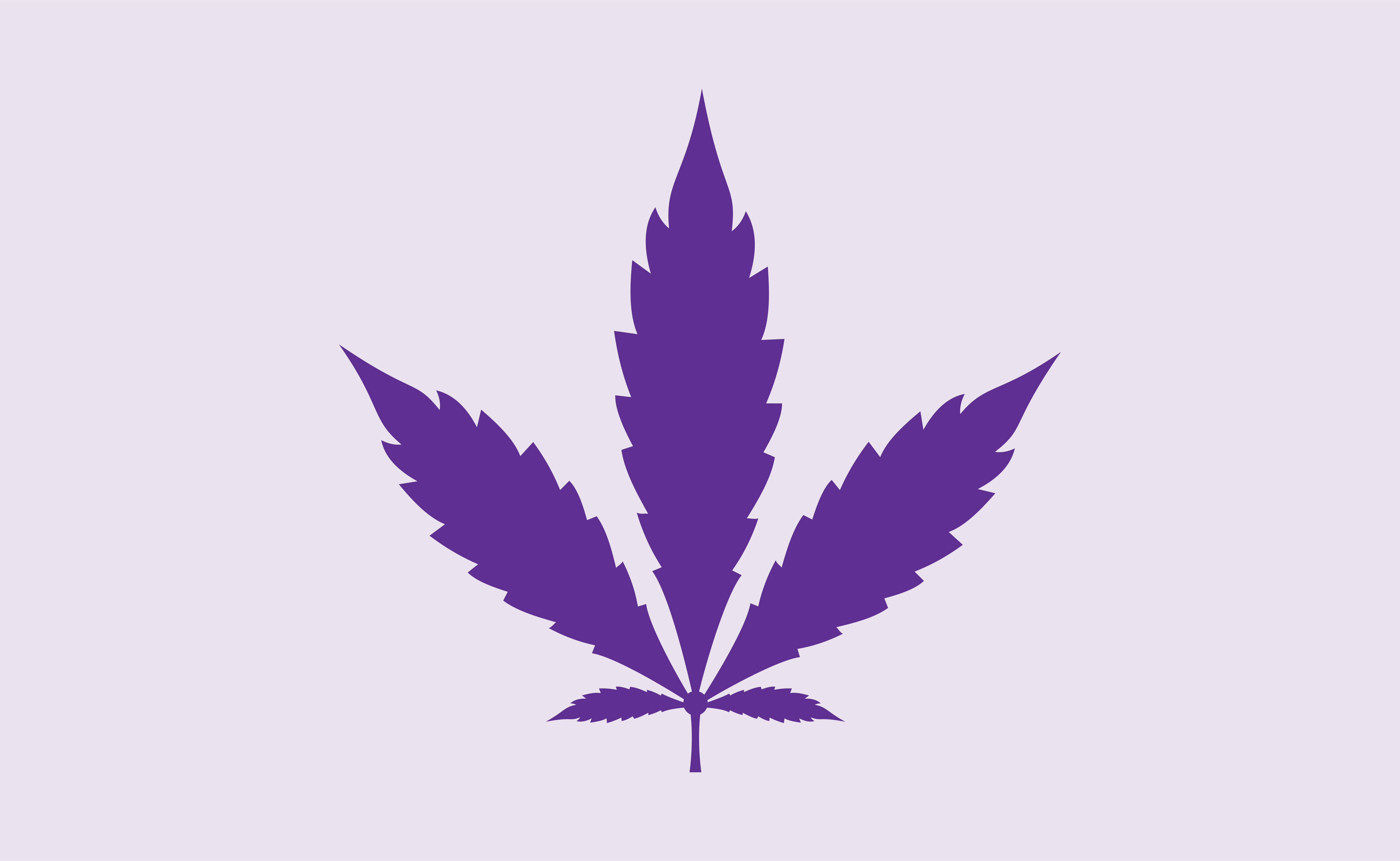 Marijuana & Cannabis